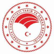 Besilik erkek sığır ithalat başvuru duyurusu