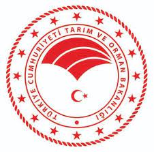 Besilik erkek sığır ithalat başvuru duyurusu