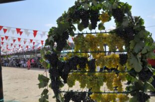 Ürgüp dev organizasyona hazır! Bağbozumu festivali başlıyor