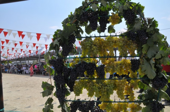 Ürgüp dev organizasyona hazır! Bağbozumu festivali başlıyor