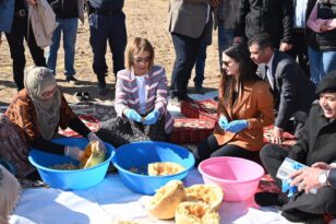 Nevşehir’de çerezlik kabak çekirdeği hasadı