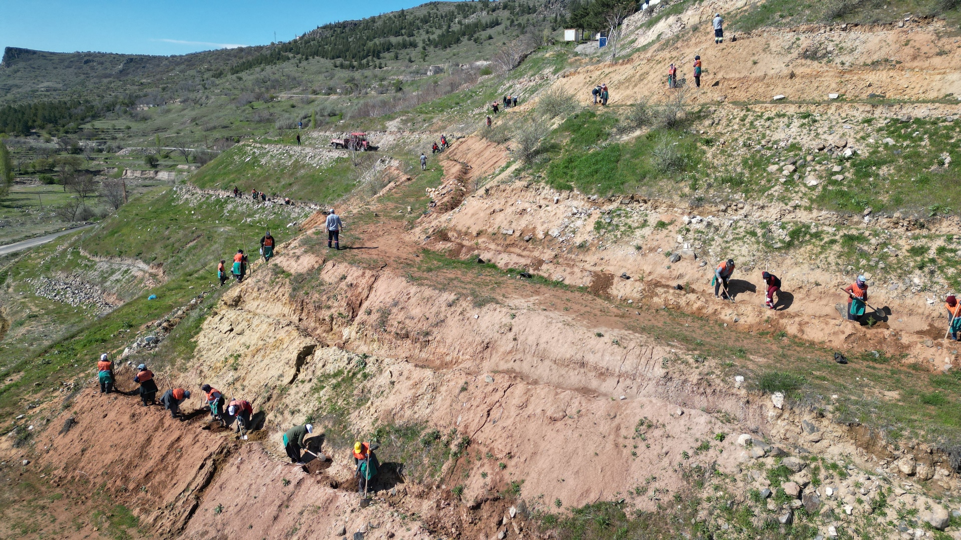 KAHVECİ DAĞI ETEKLERİNE 2 BİN SEDİR FİDANI DİKİLİYOR