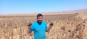 AY ÇEKİRDEĞİ HEM KENDİNİ HEMDE BENİ YAKTI