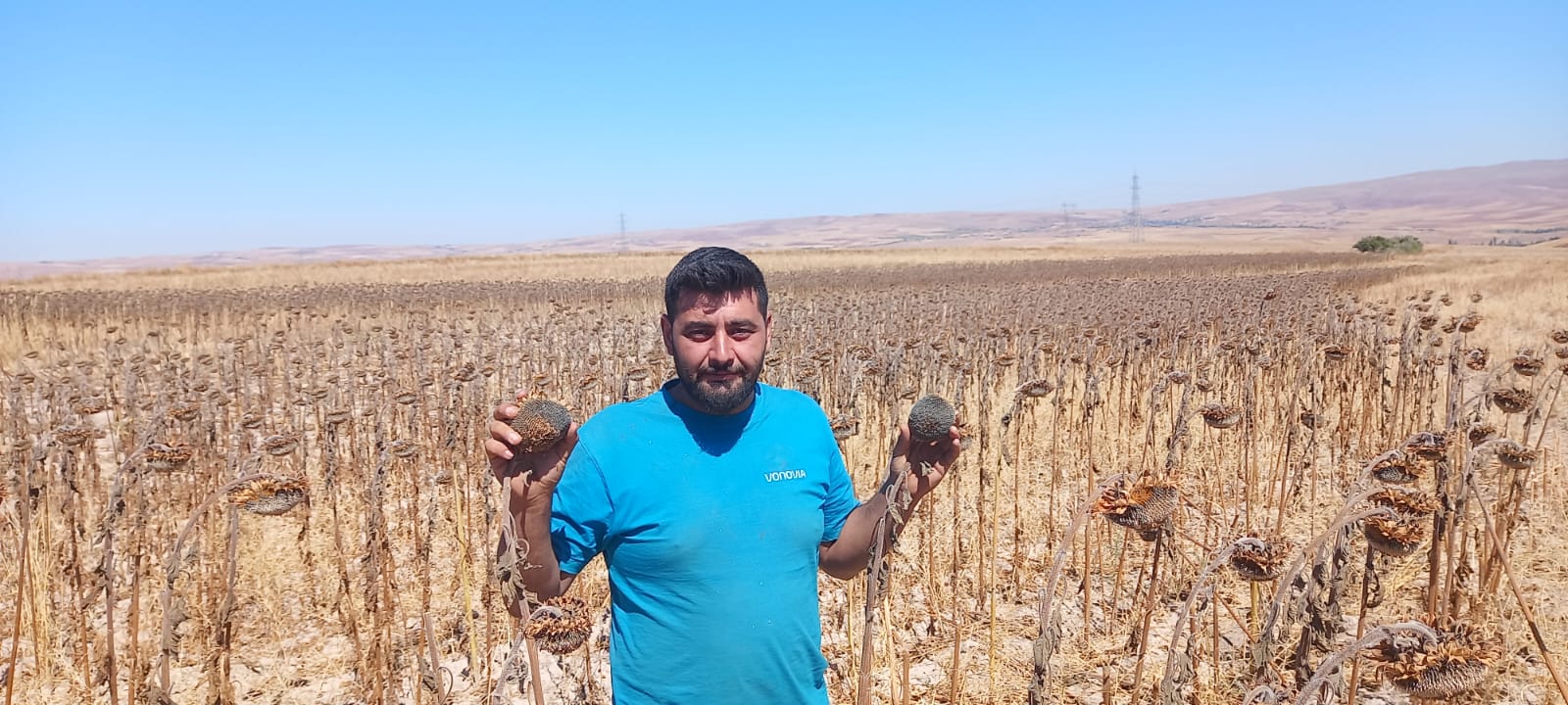 AY ÇEKİRDEĞİ HEM KENDİNİ HEMDE BENİ YAKTI