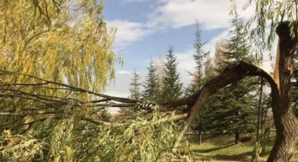 Nevşehir’de çatılar uçtu, ağaçlar devrildi