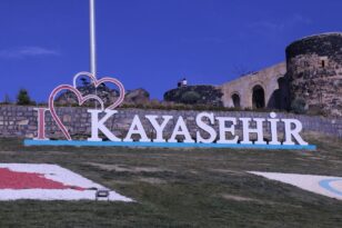 SEVGİ KORTEJİ