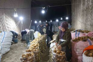 Türkiye’nin patates ihtiyacı Kapadokya’daki depolardan karşılanıyor