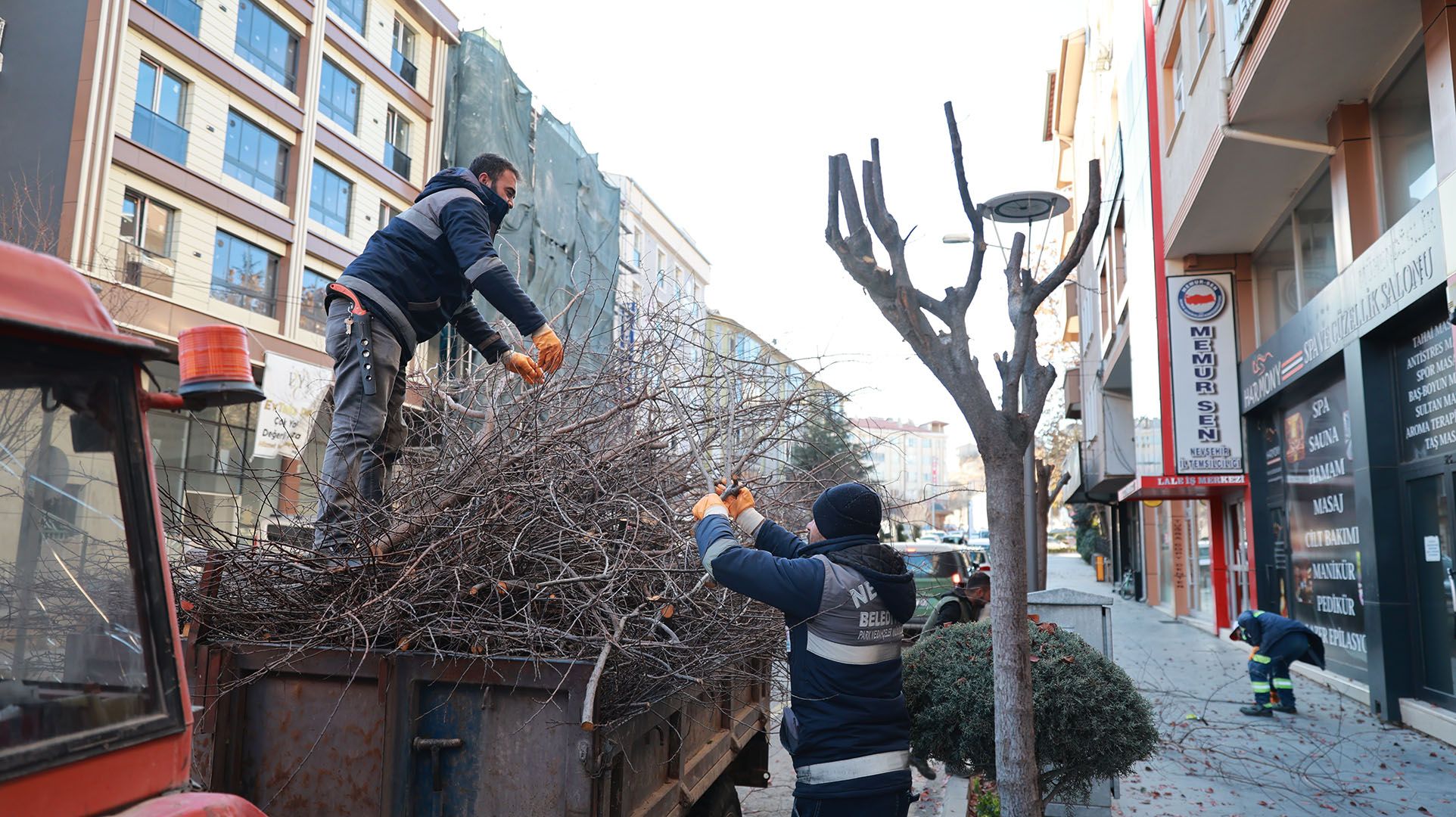 BELEDİYE EKİPLERİ KIŞLIK BUDAMA ÇALIŞMALARINA DEVAM EDİYOR