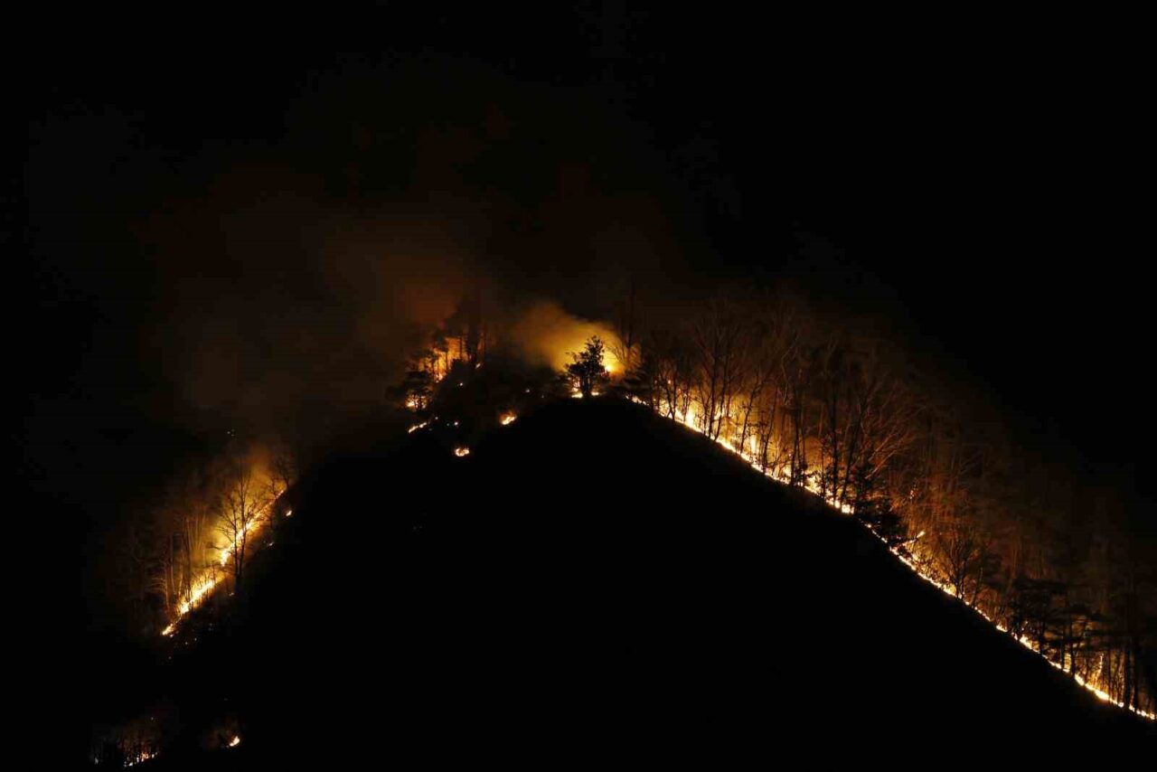 Güney Kore’deki orman yangınlarında ölü sayısı 28’e yükseldi