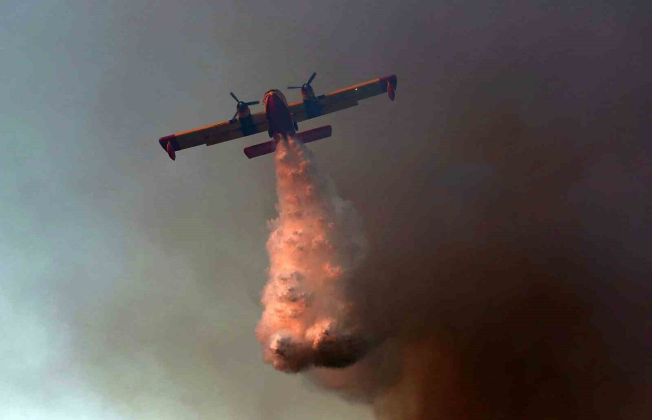 Yunanistan’ın Oropos bölgesinde orman yangını