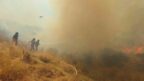 Arnavutluk’ta orman yangını: 1 ölü, 8 yaralı