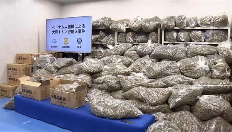 Japonya’daki uyuşturucu operasyonunda bin 46 tonluk rekor miktarda esrar ele geçirildi