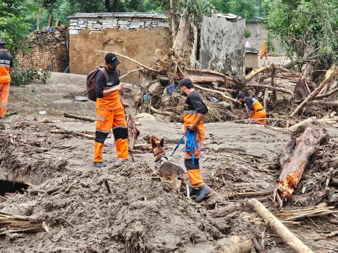 Pakistan’daki muson yağışlarında bilanço ağırlaşıyor: 645 ölü