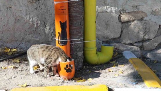 Öğrenciler hem çevre bilincini hem hayvan sevgisini bir araya getirdi