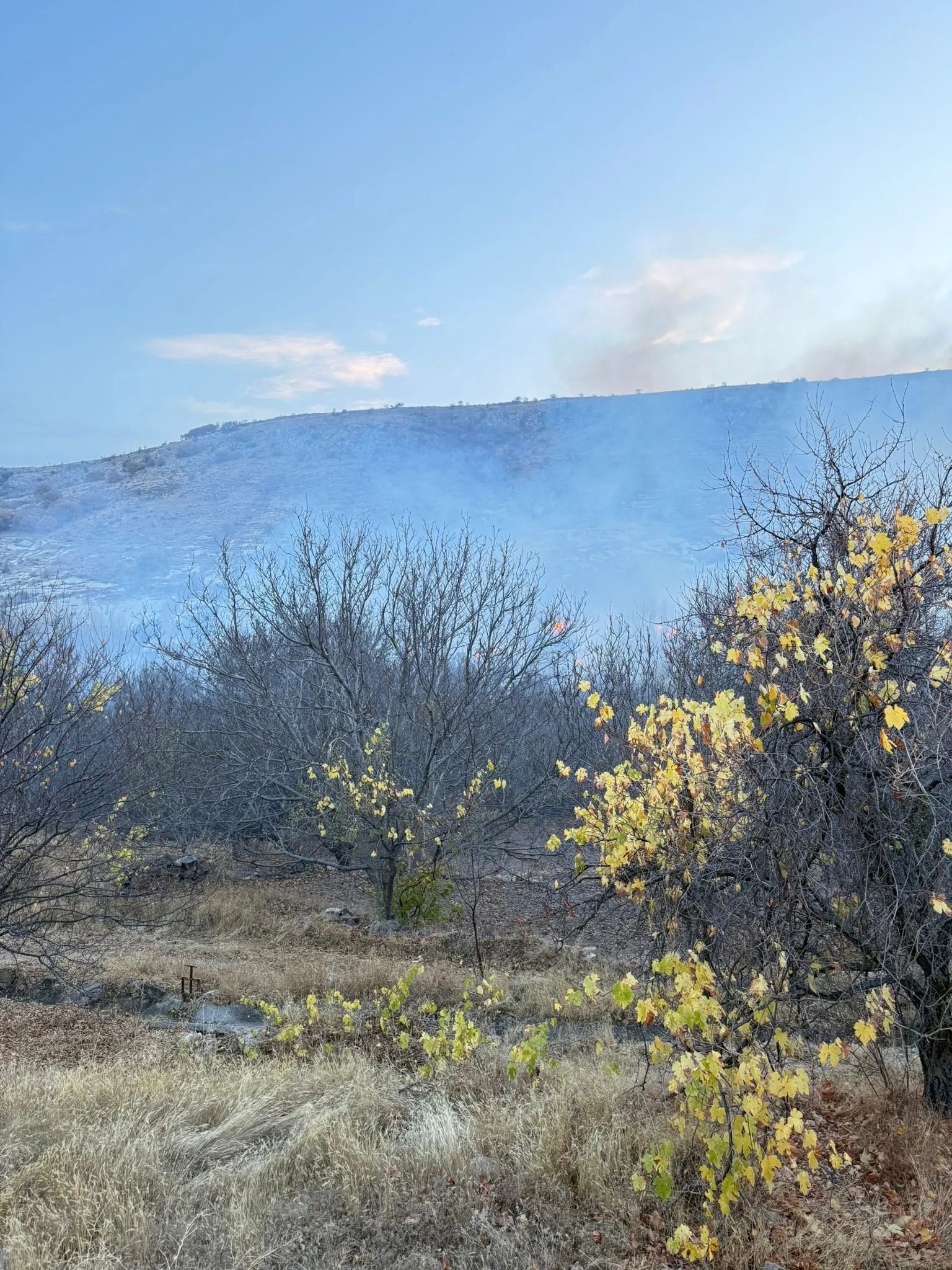 **Ürgüp Demirtaş Köyü’nde Korkutan Yangın: Bağ ve Bahçeler Küle Döndü**