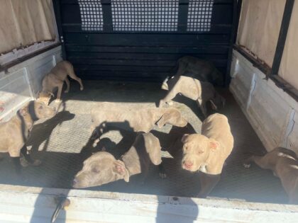  Nevşehir İl Jandarma Komutanlığı, Çevre Doğa ve Hayvanları Koruma