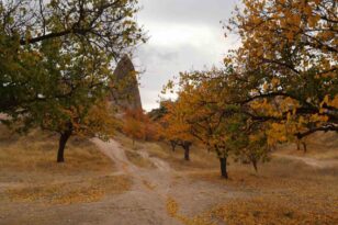 Kapadokya’da ki renk cümbüşü dron ile görüntülendi