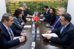 Bakan Fidan, Gürcü mevkidaşı Botchorishvili ile görüştü