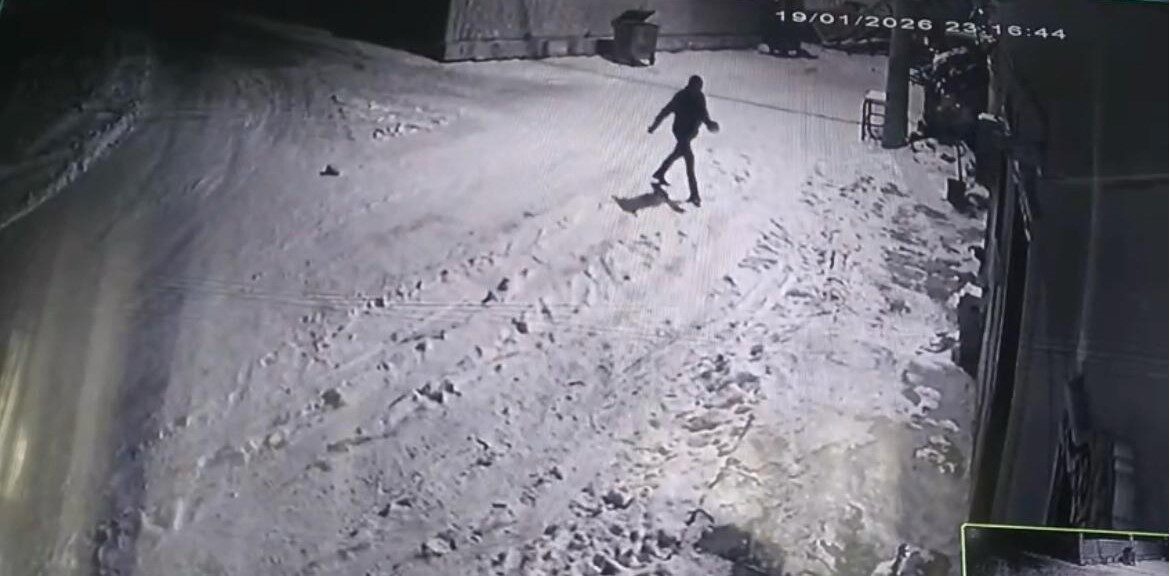 Bahçesine giren kurtları çaydanlıktaki sıcak suyla kovaladı