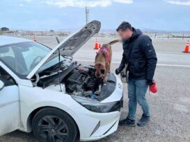Uyuşturucu tacirleri, narkotik köpeğinden kaçamadı