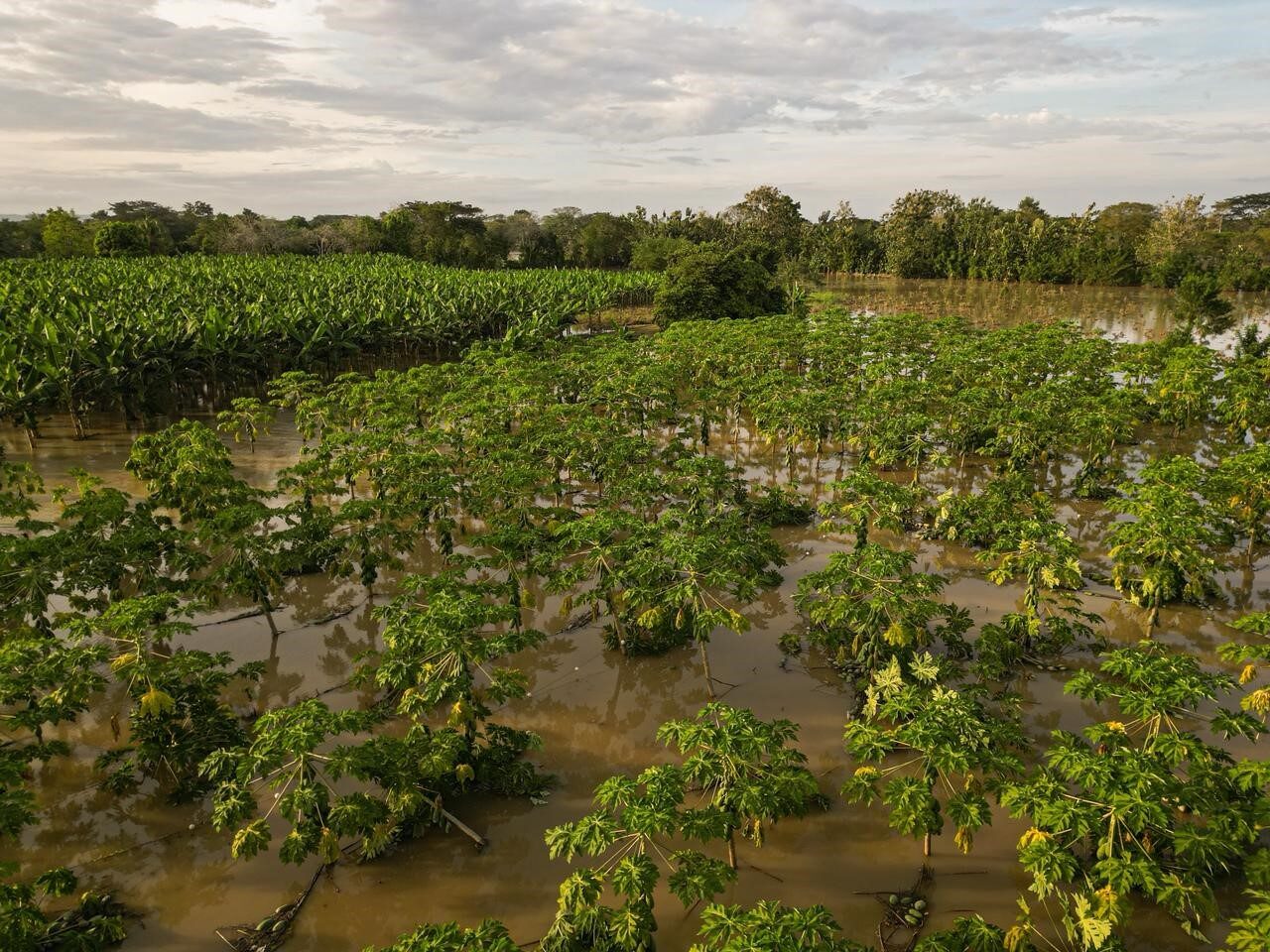 Kolombiya’da ülke genelindeki sellerde 6 kişi hayatını kaybetti