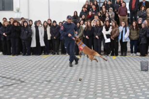 İtaat köpeği Nefes’ten öğrencilere nefes kesen gösteri