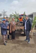 Göre Belediyesi’nden Çevre Hamlesi: 2000 Çam Fidanı Dağıtıldı.