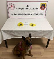 Kozaklı’da Şüpheli Araçtan 17 Gram Esrar Ele Geçirildi