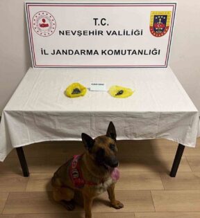 Yol kontrolünde uyuşturucu yakalandı