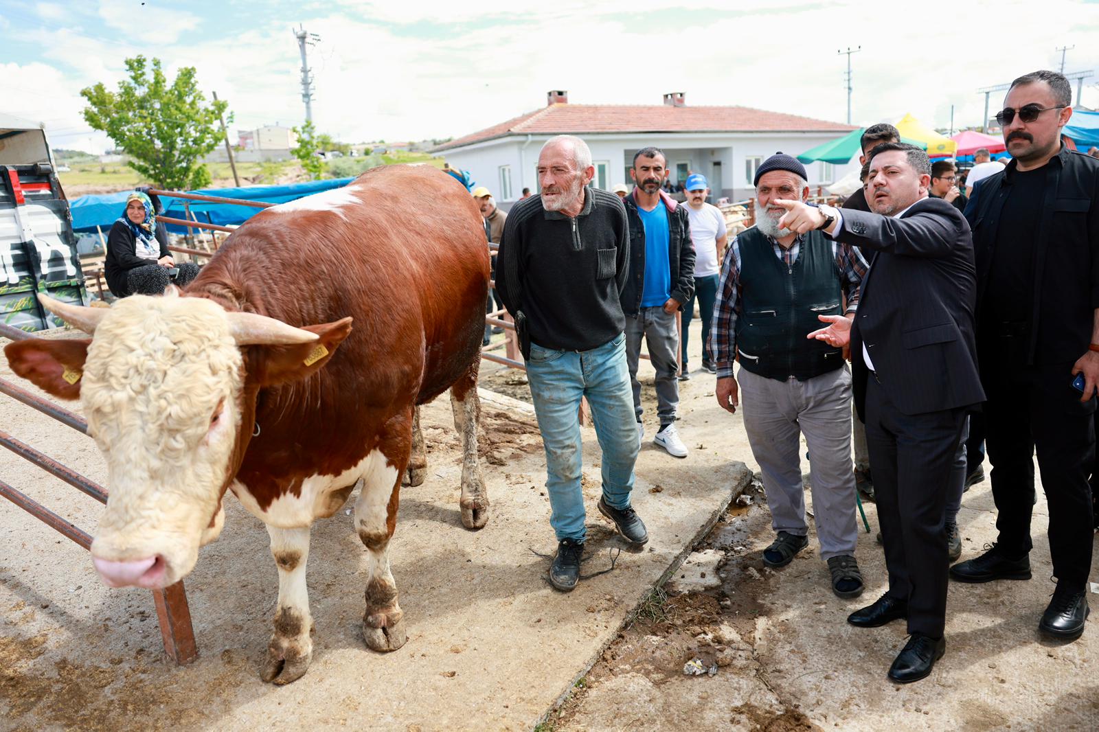 Belediye Başkanı Rasim Arı, Nevşehir Hayvan Pazarını Ziyaret Etti