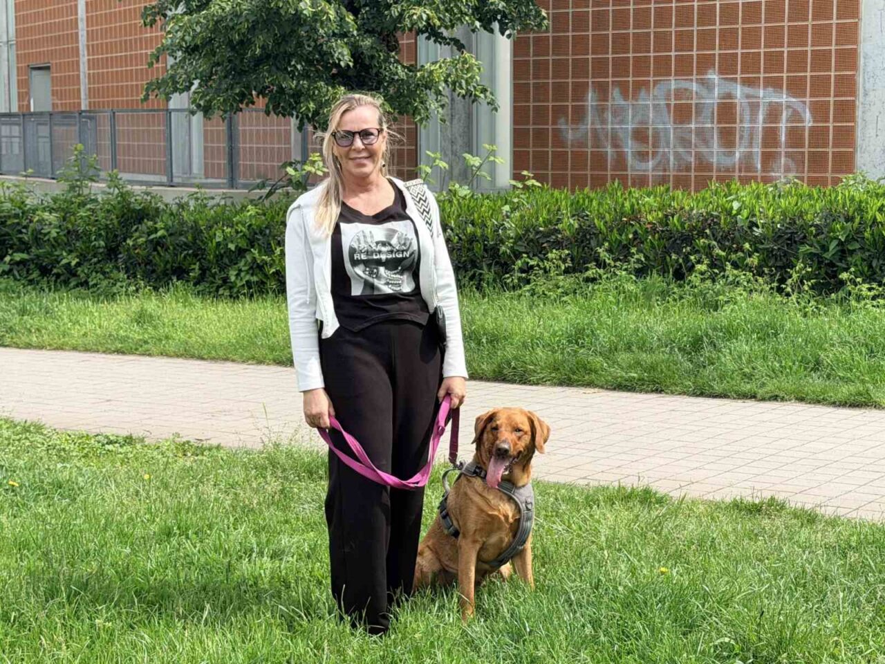 Almanya’da köpek sahiplerine sigorta şartı