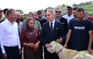 Nevşehir’de Küçükbaş Hayvancılığa Destek: 100 Damızlık Koç Dağıtıldı