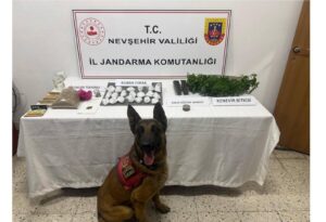       Konu: Kurban Bayramı Trafik Tedbirleri