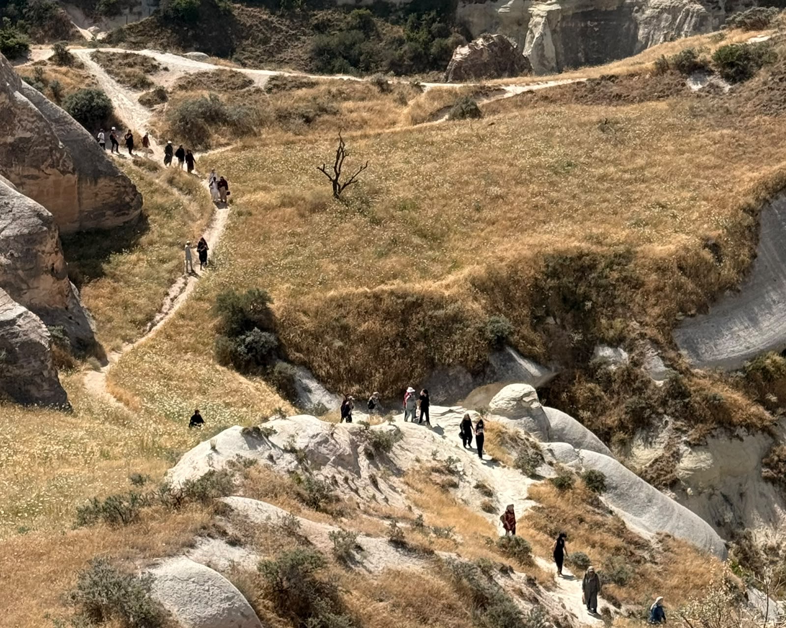 .Nevşehir Belediyesi’nden Pilates Kursiyerlerine Kızılçukur Vadisi Doğa Yürüyüşü
