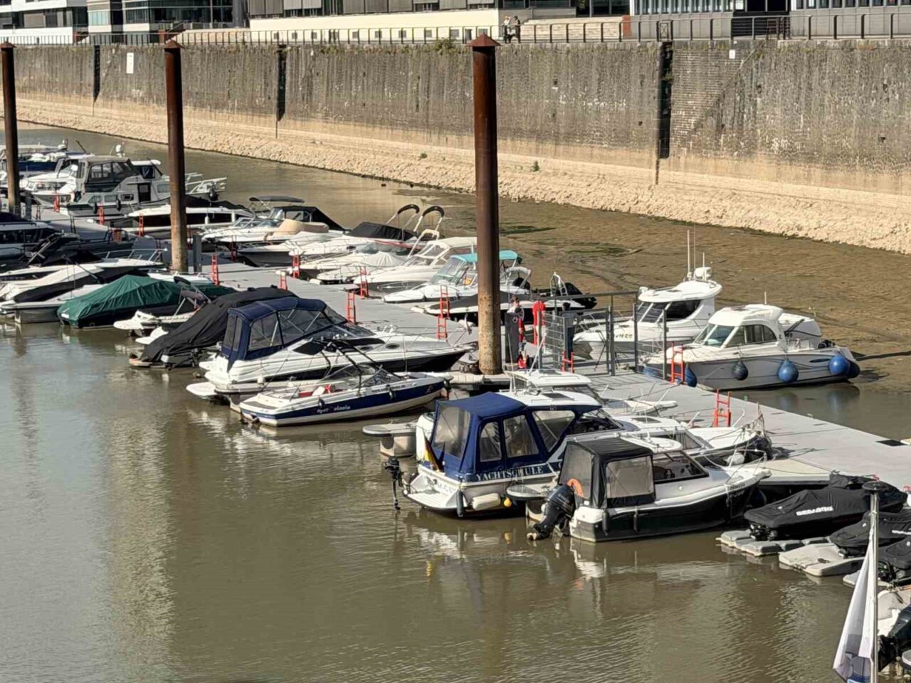 Almanya’da Ren Nehri’nde kuraklık alarmı: Su seviyesinde tarihi düşüş yaşandı
