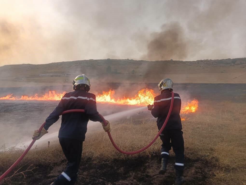 Cezayir’de son 24 saatte 6 bölgede 72 orman yangını